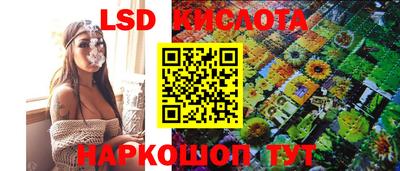 дмт Тара
