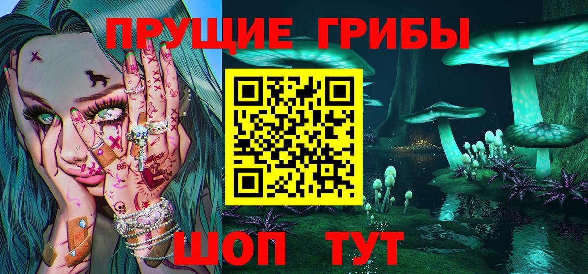 Галлюциногенные грибы Psilocybe Ноябрьск