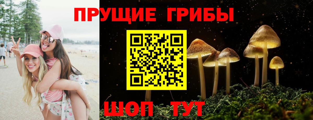 Ноябрьск  Галлюциногенные грибы Cubensis  Вход с VPN 